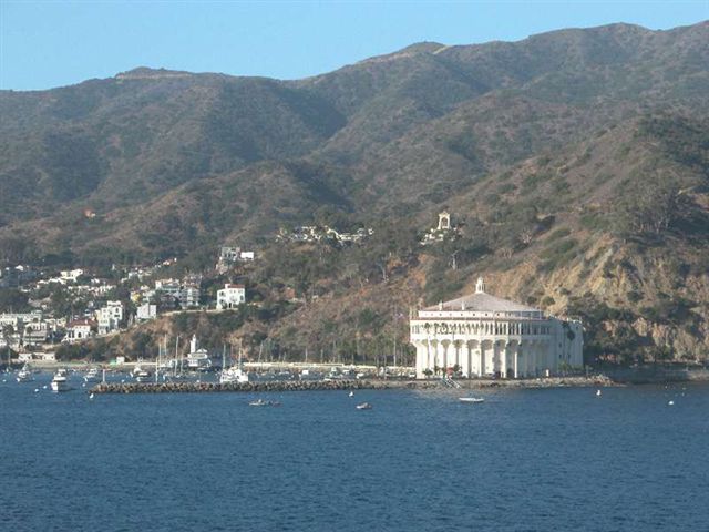 Cruise089