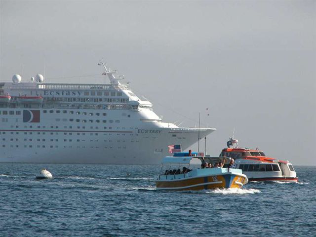 Cruise100