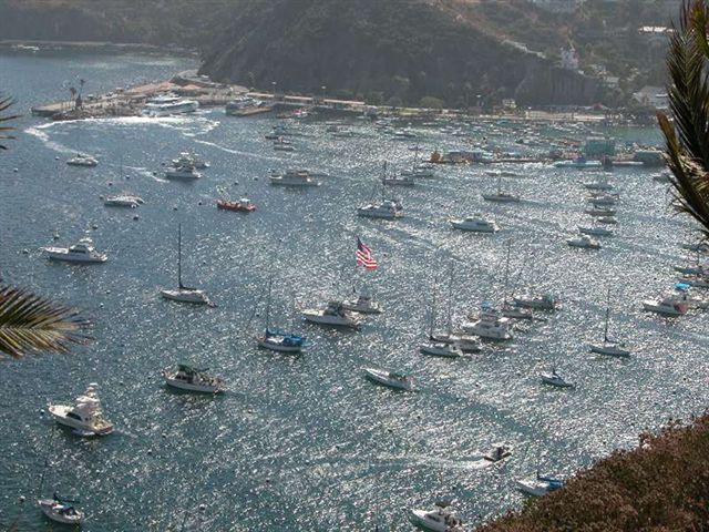 Cruise122