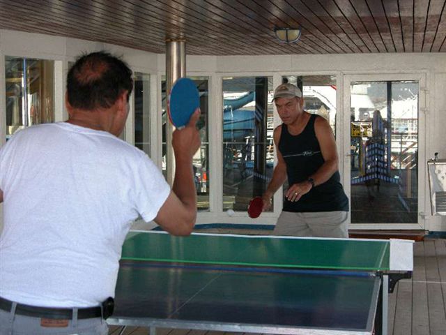 Cruise308