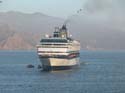 Cruise084