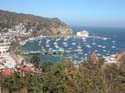 Cruise114