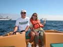 Cruise141